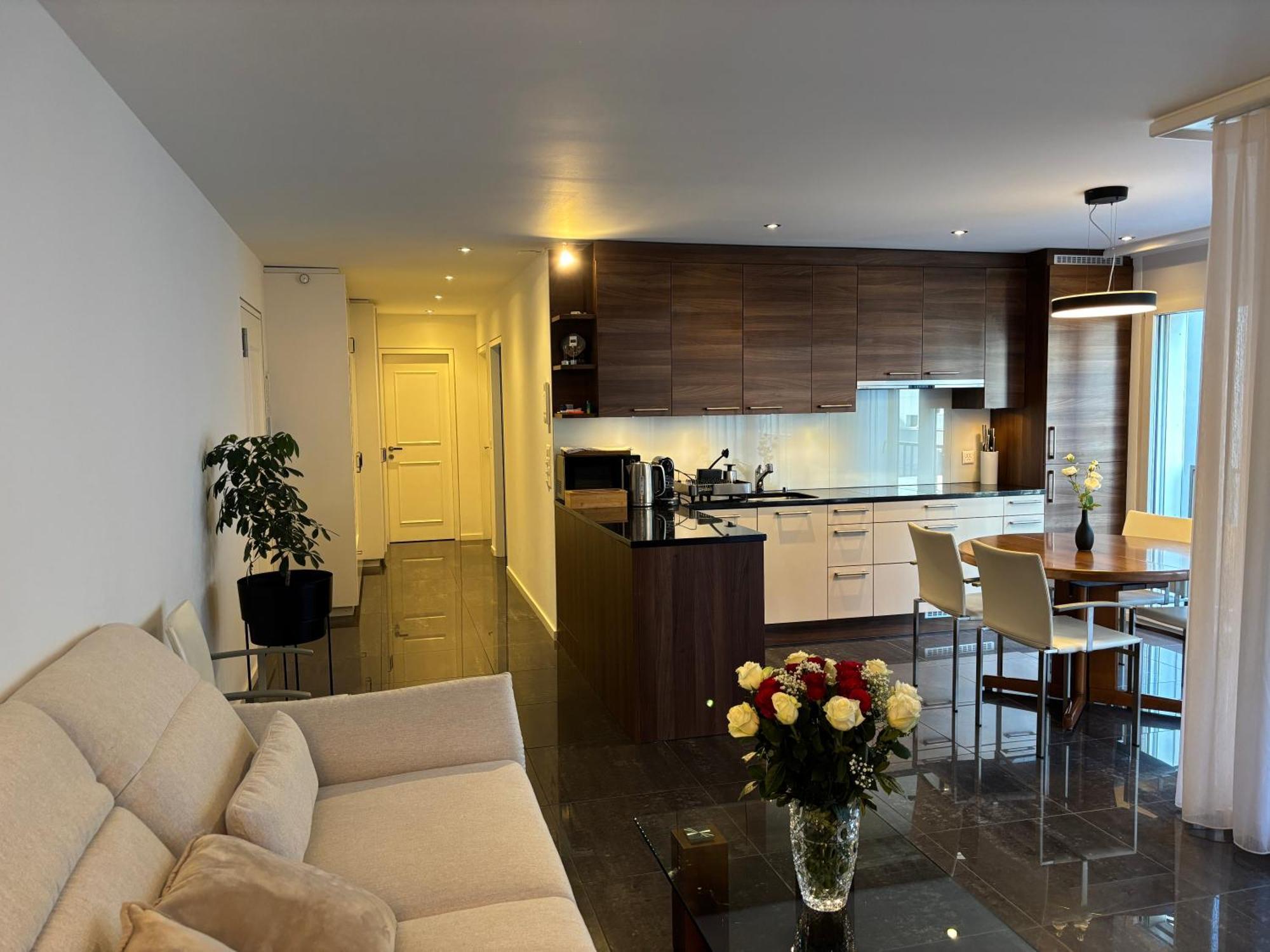 Center Park Apartment Ιντερλάκεν Εξωτερικό φωτογραφία